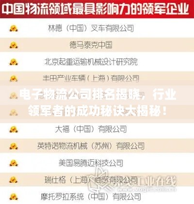 电子物流公司排名揭晓，行业领军者的成功秘诀大揭秘！