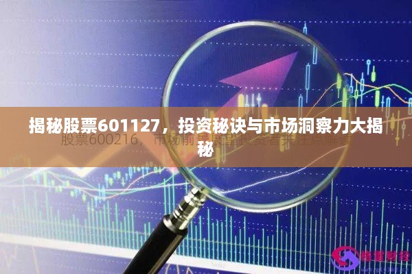 揭秘股票601127，投资秘诀与市场洞察力大揭秘