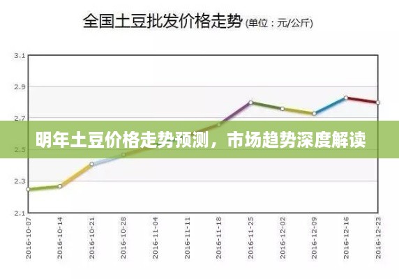 明年土豆价格走势预测，市场趋势深度解读