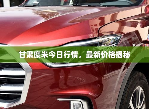 甘肃糜米今日行情，最新价格揭秘