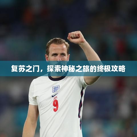 复苏之门，探索神秘之旅的终极攻略