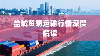 盐城贸易运输行情深度解读