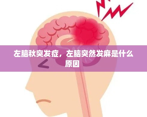 左脑秋突发症，左脑突然发麻是什么原因 