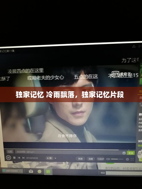 独家记忆 冷雨飘落，独家记忆片段 