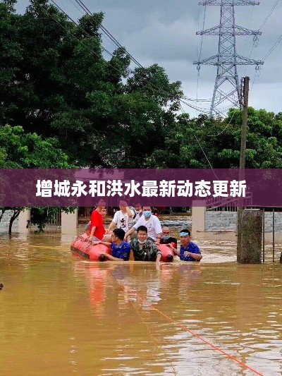 增城永和洪水最新动态更新