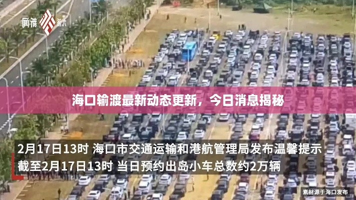 海口输渡最新动态更新，今日消息揭秘