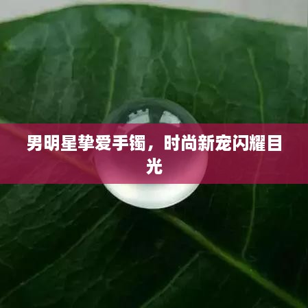 男明星挚爱手镯，时尚新宠闪耀目光