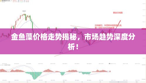 金鱼藻价格走势揭秘，市场趋势深度分析！