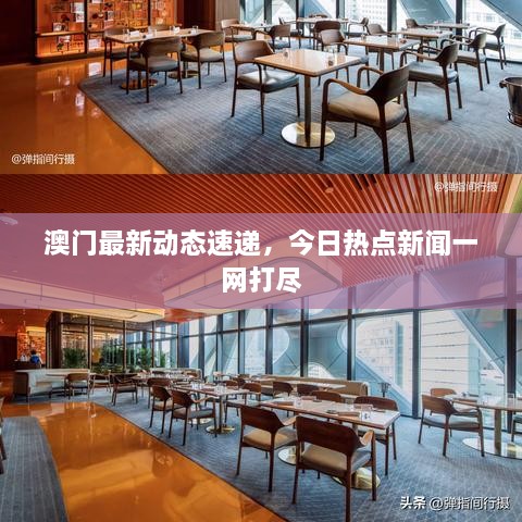 澳门最新动态速递，今日热点新闻一网打尽