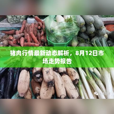 猪肉行情最新动态解析，8月12日市场走势报告