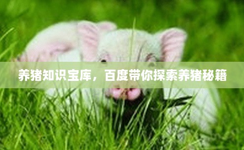 养猪知识宝库，百度带你探索养猪秘籍