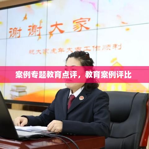 案例专题教育点评，教育案例评比 