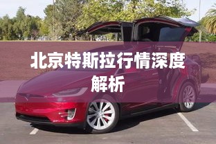 北京特斯拉行情深度解析