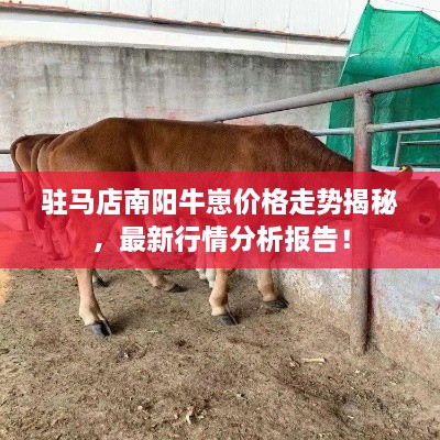 驻马店南阳牛崽价格走势揭秘，最新行情分析报告！