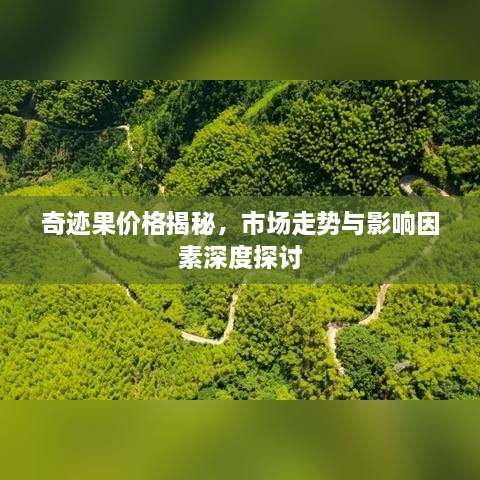 奇迹果价格揭秘，市场走势与影响因素深度探讨