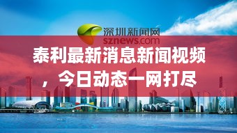 泰利最新消息新闻视频，今日动态一网打尽