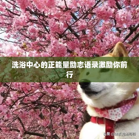 洗浴中心的正能量励志语录激励你前行