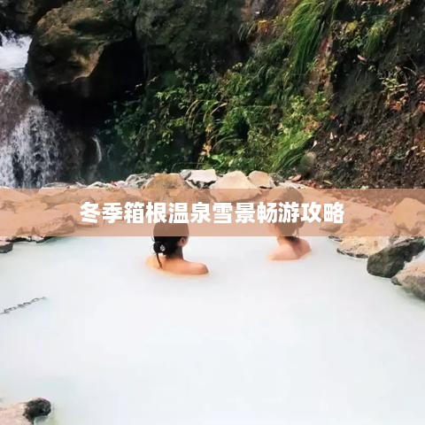冬季箱根温泉雪景畅游攻略