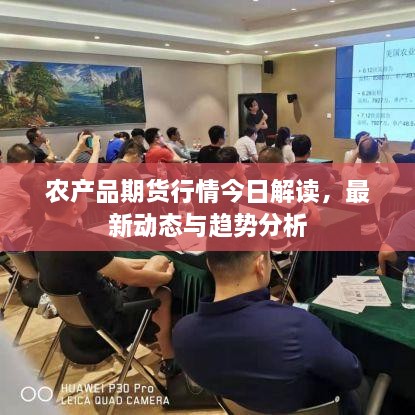 农产品期货行情今日解读，最新动态与趋势分析
