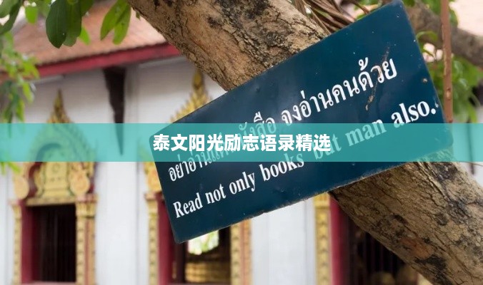 泰文阳光励志语录精选