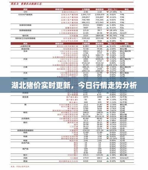龙马精神