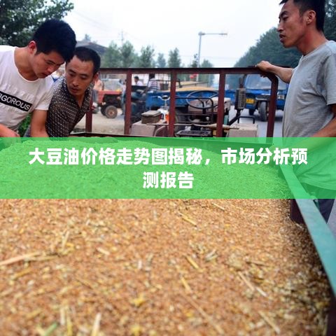 大豆油价格走势图揭秘，市场分析预测报告