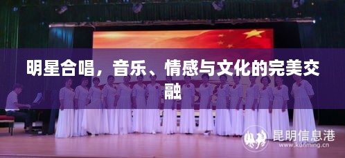 明星合唱，音乐、情感与文化的完美交融