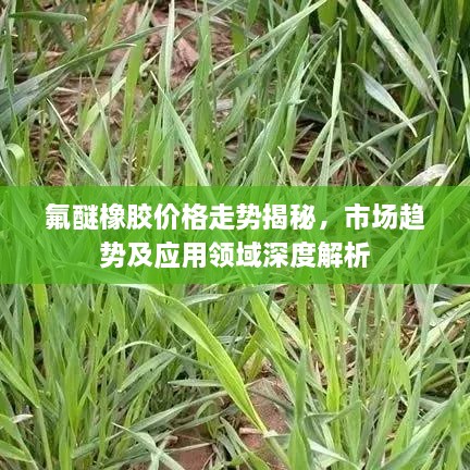 氟醚橡胶价格走势揭秘，市场趋势及应用领域深度解析