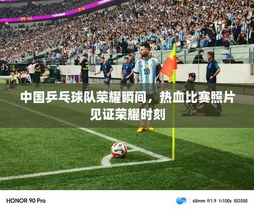 中国乒乓球队荣耀瞬间，热血比赛照片见证荣耀时刻