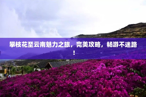 攀枝花至云南魅力之旅，完美攻略，畅游不迷路！