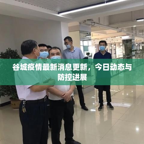 谷城疫情最新消息更新，今日动态与防控进展