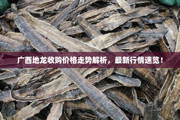 广西地龙收购价格走势解析，最新行情速览！