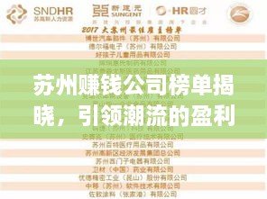苏州赚钱公司榜单揭晓，引领潮流的盈利巨头揭秘