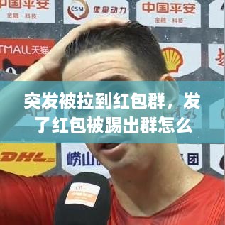 突发被拉到红包群，发了红包被踢出群怎么办 