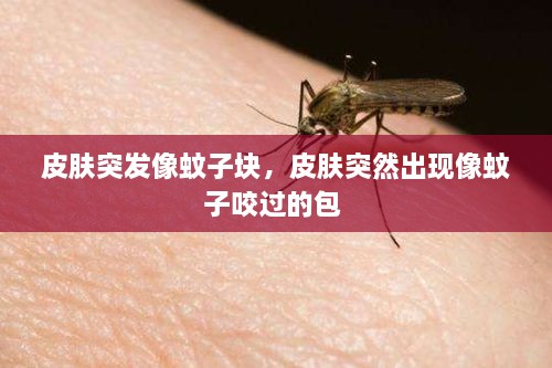 皮肤突发像蚊子块，皮肤突然出现像蚊子咬过的包 