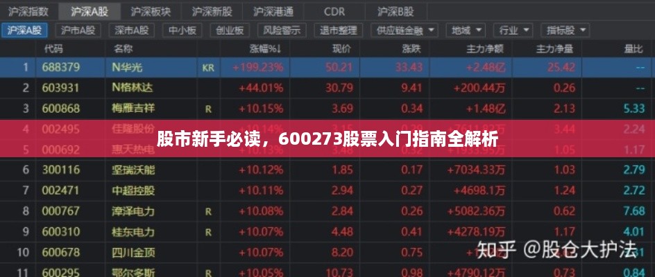 股市新手必读，600273股票入门指南全解析