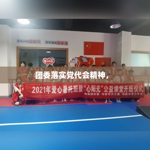 团委落实党代会精神， 