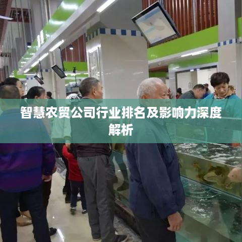 智慧农贸公司行业排名及影响力深度解析