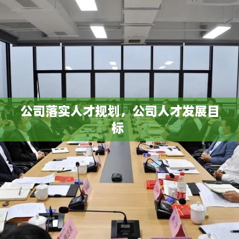公司落实人才规划，公司人才发展目标 