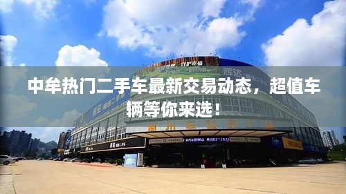 中牟热门二手车最新交易动态，超值车辆等你来选！