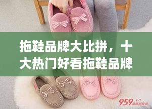 笨鸟先飞_1