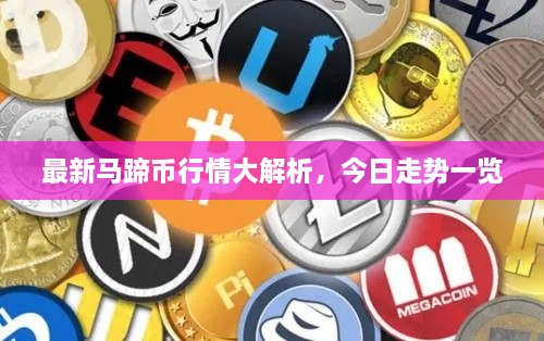 最新马蹄币行情大解析，今日走势一览