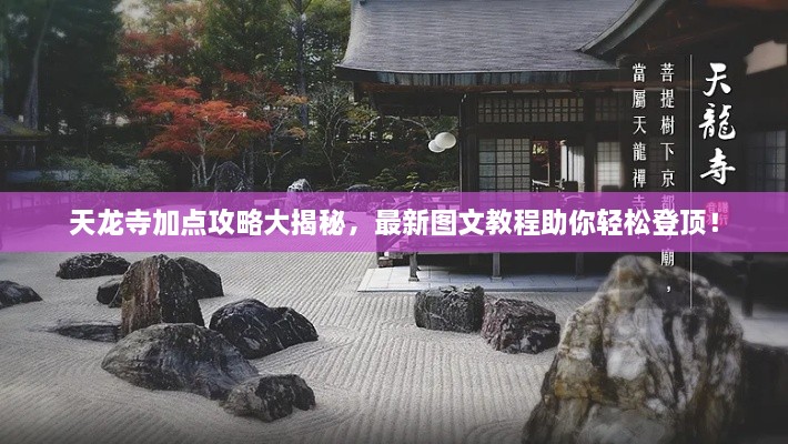 天龙寺加点攻略大揭秘，最新图文教程助你轻松登顶！