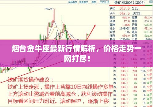 不飞则已_1