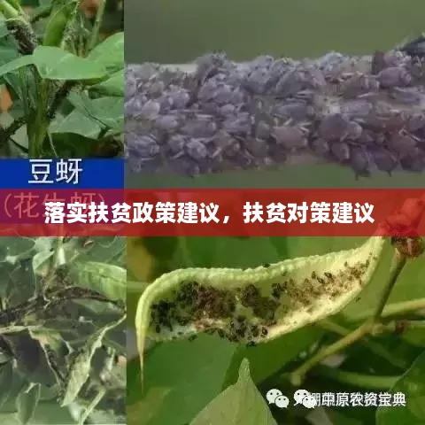 落实扶贫政策建议，扶贫对策建议 