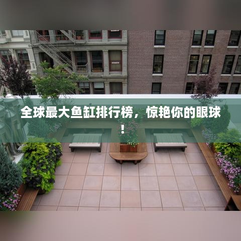 全球最大鱼缸排行榜，惊艳你的眼球！
