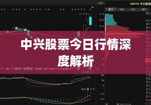中兴股票今日行情深度解析