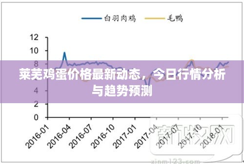 莱芜鸡蛋价格最新动态，今日行情分析与趋势预测