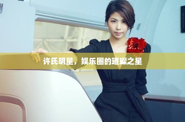 许氏明星，娱乐圈的璀璨之星