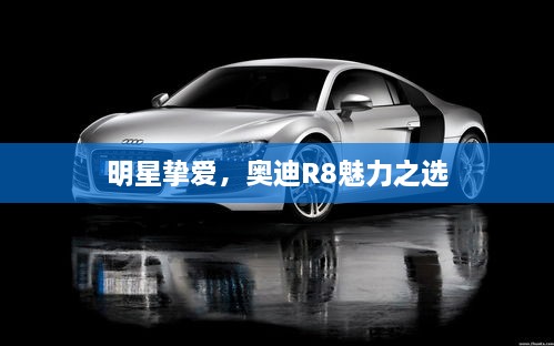 明星挚爱，奥迪R8魅力之选